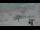 Webcam al Passo dello Stelvio, 0.2 km