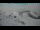 Webcam in Stelvio Pass, 0 km