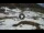 Webcam in Pila, 5.7 mi away
