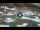 Webcam in Pila, 2.5 mi away
