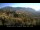Webcam in Tirol, 2.1 km