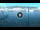 Webcam in Portoferraio (Elba), 8.4 km entfernt