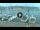 Webcam in Portoferraio (Elba), 5.5 mi away