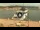 Webcam in Elba - Portoferraio, 9.8 km