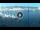 Webcam in Portoferraio (Elba), 0.4 mi away