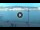 Webcam in Portoferraio (Elba), 19.3 mi away