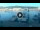 Webcam in Portoferraio (Elbe), 20.3 km