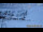 Webcam in Falkert, 7.3 km entfernt