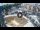 Webcam in Qormi, 0.7 mi away