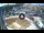 Webcam in Qormi, 0.4 mi away