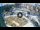 Webcam in Qormi, 1 km