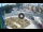 Webcam in Qormi, 2.9 mi away