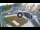 Webcam in Qormi, 6.6 km