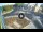 Webcam in Qormi, 1.4 mi away
