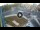 Webcam in Qormi, 1.2 mi away