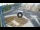 Webcam in Qormi, 0.4 mi away
