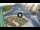 Webcam in Qormi, 0.4 mi away