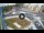 Webcam in Qormi, 0.7 mi away