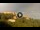 Webcam in Monte Santa Maria Tiberina, 8.8 mi away