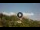 Webcam in Monte Santa Maria Tiberina, 40.7 km