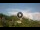Webcam in Monte Santa Maria Tiberina, 41.9 km