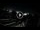 Webcam in Marina di Cecina, 10.6 km
