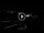 Webcam in Marina di Cecina, 13.5 km