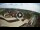 Webcam in Marina di Cecina, 8.6 mi away