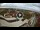 Webcam in Marina di Cecina, 8.9 mi away