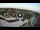 Webcam in Marina di Cecina, 13.5 km