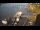 Webcam in Hamburgo, 27.5 km
