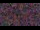 Webcam in Baytown, Texas, 290.8 km