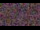 Webcam in Baytown, Texas, 101 km entfernt