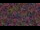 Webcam in Baytown, Texas, 10.6 mi away