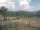 Webcam in Cantalupo Ligure, 0.5 km entfernt