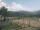 Webcam in Cantalupo Ligure, 0.5 km