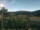 Webcam in Cantalupo Ligure, 19.9 mi away