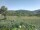 Webcam in Cantalupo Ligure, 10 mi away