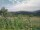 Webcam in Cantalupo Ligure, 18.5 km entfernt
