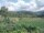 Webcam in Cantalupo Ligure, 26 km
