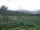 Webcam in Cantalupo Ligure, 12 mi away