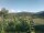 Webcam in Cantalupo Ligure, 4.7 mi away