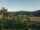 Webcam in Cantalupo Ligure, 22.9 km