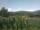Webcam in Cantalupo Ligure, 18.5 km