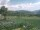 Webcam in Cantalupo Ligure, 0.2 mi away