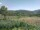 Webcam in Cantalupo Ligure, 5 mi away