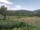 Webcam in Cantalupo Ligure, 4.1 mi away