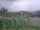 Webcam in Cantalupo Ligure, 5 mi away