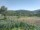 Webcam in Cantalupo Ligure, 5 mi away
