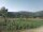 Webcam in Cantalupo Ligure, 13.7 km entfernt